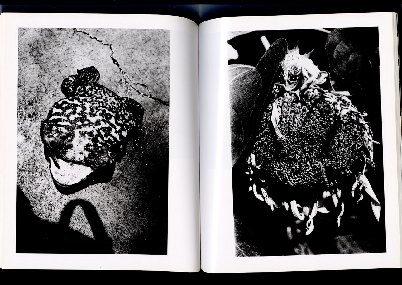 Daido Moriyama, Fragments 1964-1998.